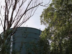 Bonnyrigg Reservoir Refurbishment with Trees