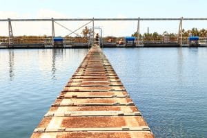 Grahamstown Wastewater Treatment Plant Plank