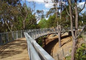 02 Hazelbrook Bridge (Project Value up to $1M) 2009